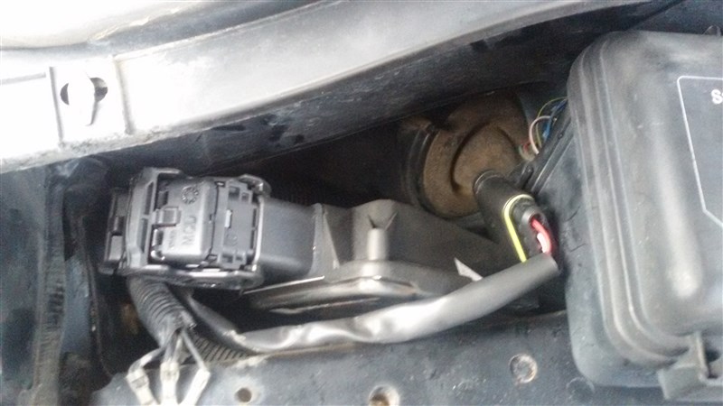 20160109_164542 (800 x 450).jpg